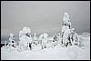 Van Tuiskukuru naar Suomunruoktu hut, Finland , zaterdag 28 februari 2015