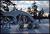 Van Suomunruoktu naar Kiilopää, Finland , zaterdag 28 februari 2015