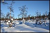 Van Suomunruoktu naar Kiilopää, Finland , zaterdag 28 februari 2015