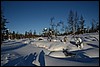 Van Suomunruoktu naar Kiilopää, Finland , zaterdag 28 februari 2015