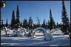 Van Suomunruoktu naar Kiilopää, Finland , zaterdag 28 februari 2015