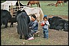 Naiman Nuur NP, Mongolië , zondag 13 juli 2003