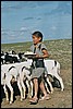 nabij Arvaikheer, Mongolië , woensdag 16 juli 2003
