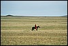 omgeving Yolyn Am, Mongolië , dinsdag 22 juli 2003