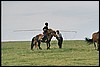 onderweg naar Kharkhira, Mongolië , donderdag 24 juli 2003