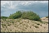 onderweg naar Kharkhira, Mongolië , donderdag 24 juli 2003