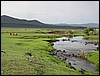 Naiman Nuur NP, Mongolië , zaterdag 12 juli 2003