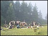 trekking in Naiman Nuur NP, Mongolië , dinsdag 15 juli 2003