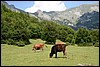 rondwandeling naar de Taljanka top, Montenegro , donderdag 18 augustus 2016