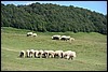 wandeling van Stavna naar Vranjak, Montenegro , donderdag 18 augustus 2016