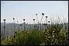 wandeling naar NP Biogradska, Montenegro , donderdag 18 augustus 2016