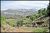 Wandeling van Poboleda naar La Morena, Spanje , maandag 28 mei 2012