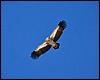 Tocht van Lo Manthang naar Yara, Nepal , vrijdag 7 oktober 2011