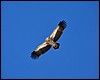 Tocht van Lo Manthang naar Yara, Nepal , vrijdag 7 oktober 2011