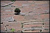 Tocht van Lo Manthang naar Yara, Nepal , vrijdag 7 oktober 2011