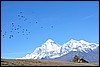 Tocht van Muktinath via Lebra naar Jomoson, Nepal , donderdag 13 oktober 2011