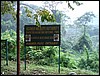 Rwenzori NP, Oeganda , dinsdag 24 juli 2007