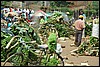 bananenmarkt, Oeganda , maandag 16 juli 2007