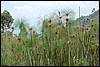 Lake Bunyonyi, Oeganda , dinsdag 17 juli 2007