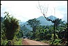 nabij Rwenzori NP, Oeganda , maandag 23 juli 2007