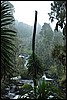 Rwenzori NP, Oeganda , woensdag 25 juli 2007