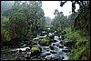 Rwenzori NP, Oeganda , woensdag 25 juli 2007