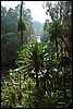 Rwenzori NP, Oeganda , woensdag 25 juli 2007