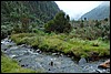 Rwenzori NP, Oeganda , donderdag 26 juli 2007