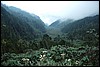 Rwenzori NP, Oeganda , donderdag 26 juli 2007