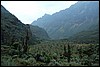 Rwenzori NP, Oeganda , vrijdag 27 juli 2007