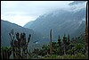 Rwenzori NP, Oeganda , vrijdag 27 juli 2007