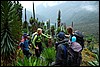 Rwenzori NP, Oeganda , vrijdag 27 juli 2007