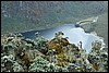 Rwenzori NP, Oeganda , zaterdag 28 juli 2007