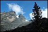 Rwenzori NP, Oeganda , maandag 30 juli 2007