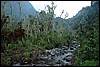 Rwenzori NP, Oeganda , dinsdag 31 juli 2007