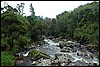 Rwenzori NP, Oeganda , dinsdag 31 juli 2007