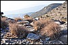 kamp op Sayd plateau, Oman , vrijdag 24 december 2010