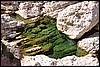 Wandeling door Wadi Taab, Oman , woensdag 29 december 2010