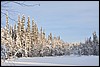 onderweg naar Puikkokamppa, Oulanka NP, Finland , zondag 6 februari 2011