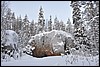 onderweg naar Puikkokamppa, Oulanka NP, Finland , zondag 6 februari 2011