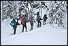 onderweg naar Puikkokamppa, Oulanka NP, Finland , zondag 6 februari 2011