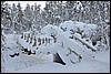 onderweg naar Puikkokamppa, Oulanka NP, Finland , zondag 6 februari 2011