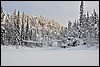 wandeling naar Savilampi, Oulanka NP, Finland , maandag 7 februari 2011