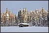 wandeling naar Savilampi, Oulanka NP, Finland , maandag 7 februari 2011