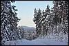 wandeling omgeving Ansakamppa, Oulanka NP, Finland , woensdag 9 februari 2011