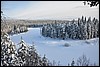 van Ansakamppa naar Jussinkamppa, Oulanka NP, Finland , woensdag 9 februari 2011