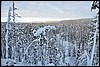 van Ansakamppa naar Jussinkamppa, Oulanka NP, Finland , woensdag 9 februari 2011