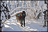 van Jussinkamppa naar Siilastupa, Oulanka NP, Finland , donderdag 10 februari 2011