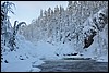 van Jussinkamppa naar Siilastupa, Oulanka NP, Finland , donderdag 10 februari 2011