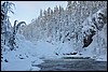 van Jussinkamppa naar Siilastupa, Oulanka NP, Finland , donderdag 10 februari 2011